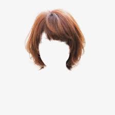 Pretty Western Style Short Hair False Hair Clip Wig Clipart Western Style Pretty Png Transparent Clipart Image And Psd File For Free Download Hair Clipart Short Hair Styles Hair Clips