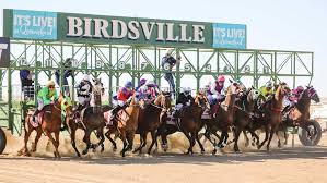 The birdsville races are horse races held each year in september in the queensland, australia, town of birdsville. Jdrtflhugch2am