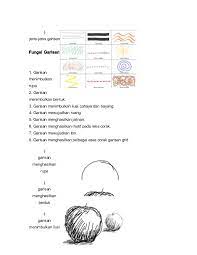 Aktiviti i latihan i psv tingkatan 1 i tajuk : Nota Pendidikan Seni Visual Tingkatan 1