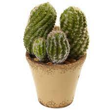 Home depot hot glued a fake flower onto this cactus, so i bought it and performed emergency surgery. Nearly Natural Cactus Garden With Ceramic Planter 4844 The Home Depot In 2020 Natural Cactus Garden Cactus Garden Natural Garden