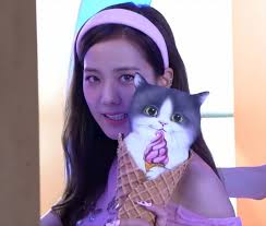 جيسو Jisoo Cat Ears Zelda Characters Character