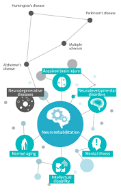 Neurodegenerative Diseases