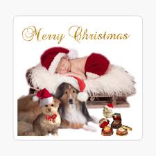 A lovely thing about christmas is that it's compulsory, like a thunderstorm and we all go through here's wishing you a merry christmas and a happy new year! Merry Christmas And Happy Birthday Jesus Poster By Joannvalencia Redbubble