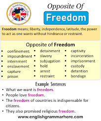 According to the logansport police department, at around 6:34 p.m. Opposite Of Freedom Antonyms Of Freedom Meaning And Example Sentences English Grammar Here