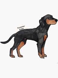 Image result for slovenský kopov