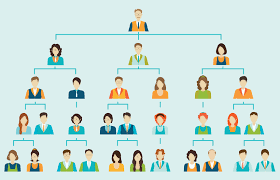 Importance Of Organizational Charts In The Workplace