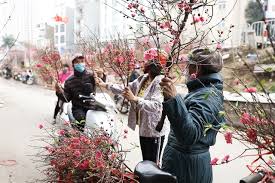 There are numerous important vietnamese traditions for tet. Peach Blossoms Flower Of Vietnamese Lunar New Year Vietnam Times