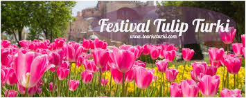 Sementara, di turki sendiri bunga tulip disebut 'lale' (lili)…unik ya? Sejarah Bunga Tulip