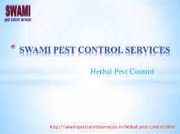 These pests are attracted to locations where their feces, shed skins, or the insects themselves are found, all of which are good indications of an. Herbal Pest Control Services In Pune Baner Katraj Kondhwa Bibewadi Sinhagad Road Sahakar Nagar By Sara Patil Issuu