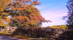Image result for New England fall scenery