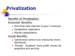 The case of privatisation in malaysia is used as an example to illustrate why institutional processes must be put into place in order to achieve the full benefit of economic policies. Public Enterprise And Privatization An Introduction And Overview Ppt Video Online Download