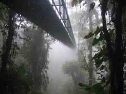 600 meter canopy walk in taman negara malaysia national park. Canopy Walkway Wikipedia