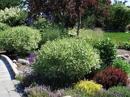 Living The Gardening Life Top 10 Gardening Mistakes To Avoid Garden Tours Botanical Gardens Garden Center