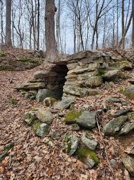 The Blue Beats" (during their later incarnation as "The #1"). Their single,  "The Collector", was released