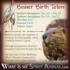Beaver Birth Totem Native American Zodiac Native American Symbols Native American Zodiac Signs