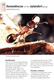 An insect such as a spider may have be obscuring the sensor. Ants Of Britain And Europe A Photographic Guide Nhbs Field Guides Natural History