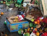 Top 10 Shocking Food Waste Fast Facts | by Tristan Pokornyi ...