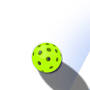 Profile Picture of New England Pickleball Club: Homeon Google