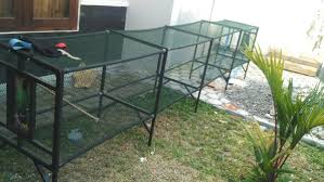 Bagaimana desain kandang untuk beternak murai, om kris menjawab secara lengkap dan mudah dipahami. Jual Umbaran Kandang Burung Portable Panjang 4 Meter Di Lapak Madu Murni Junio Bukalapak
