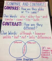 compare and contrast anchor chart anchor charts first