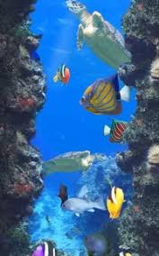 Aquarium live wallpaper by kittehface software lets you have a beautiful tropical fish tank as you can download aquarium live wallpaper by kitteface software from the google play store for free. Aquarium Live Wallpapers For Android