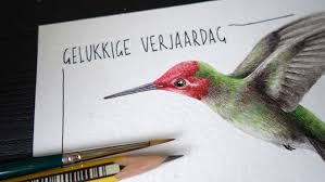 Illustrations Animations Other Things 2017 Verjaardagskaart Voor Grootmoe Kolibri