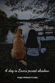 Dog Mom Love Soul Dog Quotes Love Dog Quotes A Girl And Her Dog Quotes