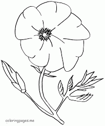 To print the coloring page: Coloring Pages Poppy Flower Coloring Home