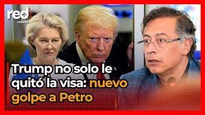 MAX MEDEIROS FECOMÉRCIO COMPRAS FINAL DE ANO [ENTREVISTA]