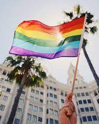 Pride month is a time for protest and celebration, one when the lgbt+ community unite under the some of these flags may not be familiar to everyone, so pinknews brings you a look at the many. Pin On Equality