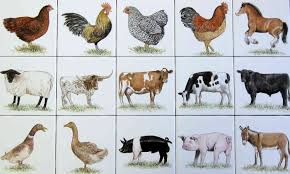 Artisan decorative tiles & mouldings birds, bugs and animals chateaux classic field tiles & mouldings cosmopolitan designer flowers english delft foundry metallics in the garden metropolitan origin panorama perfect pets raised fruit residence decorative sea scene the art of travel colour: Animal Tiles