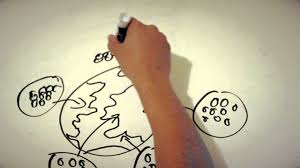 The realization of the living (vol. Autopoiesis Final Youtube