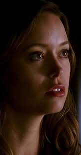 Terminator: The Sarah Connor Chronicles" Ourselves Alone (TV Episode 2009) 