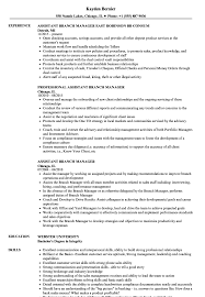Assistant Branch Manager Resume Samples Velvet Jobs