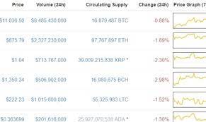 There is 16.64% decline in bitcoin. Here Are The 10 Most Popular Cryptocurrencies As Of February 22 Business Review