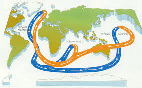 La Circulacion Del Oceano Ies Gonzalo Torrente Ballester