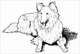 The spruce / ashley deleon nicole these free pumpkin coloring pages will be sna. Cute Realistic Puppy Coloring Page Coloringbay