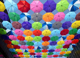 10 000 Best Colourful Photos 100 Free Download Pexels Stock Photos Also explore thousands of beautiful hd wallpapers and background images. 10 000 best colourful photos 100