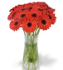 Christmas Bouquet And Flowers In Calgary Winnipeg Regina Saskatchewan Edmonton Cheap Flower Delivery Best Flower Delivery Send Flowers Online