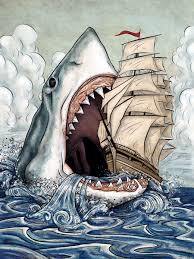 Pin By Cory Kerr Art On Illustration Shark Art Art Drawings