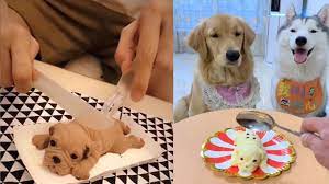 Dog Reaction To Cutting Cake Funny Dog Cake Reaction Compilation Youtube