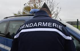 Trente panneaux d'interprétation sont disponibles sur le parcours. Ille Et Vilaine Disparition Inquietante Une Habitante De Montfort Sur Meu Recherchee La Roche Sur Yon Maville Com