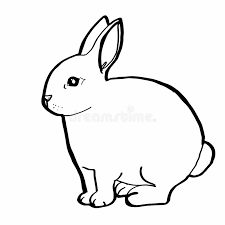 Lapin animal peinture dessin art. Dessin Realiste De Lapin Illustration De Vecteur Illustration Du Objet 100642217