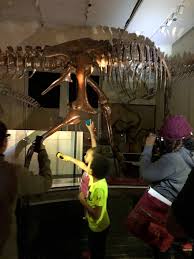 Nature Sleepovers At The Canadian Museum Of Nature Dinosaurs Nature Sleepovers At The Canadian Mus Nature Museum Family Friendly Activities Area Activities