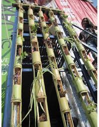 Pin On Small Budget Gardening