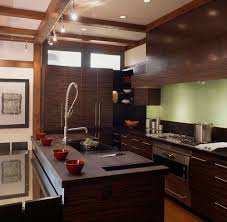 Asian Kitchen Designs Pictures And Inspiration Kitchen Design Small Kitchen Remodel Small Modern Kitchen Design