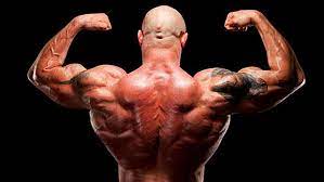 This video is at powerhouse gym columbus. A Monstrous Back The Mountain Dog Way T Nation