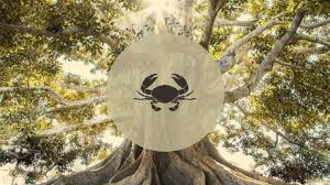 The cancer awareness dates found on this page are officially recognized annually as a national or international awareness date or observance. Cancer September 2021 Monthly Horoscope