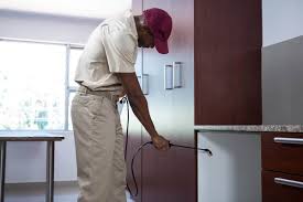 Landlord responsibilities for pest control. Are Tenants Or Landlords Responsible For Pest Control Apartmentguide Com