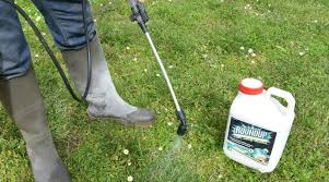 Pourquoi interdire l'utilisation du glyphosate. Bretagne Deux Plaintes Deposees Contre Amazon Et Ebay Pour Vente Illegale De Pesticides